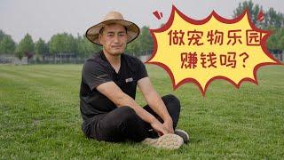 在经济萎靡的当下，做宠物乐园能赚钱吗？\If pet paradise make money in economic sluggishness?