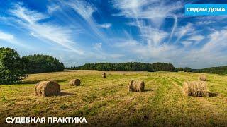Посеял пшеницу – попал на НДС (история «счастливого» фермера)