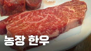 부천 한우 맛집 상동 골목에 있는 고향한우. 구례축산조합원 대신농장 직영 Korean Beef