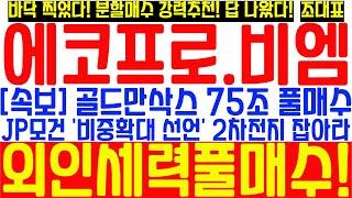 [에코프로.비엠] 골드만삭스 75조 투자 확대! JP모건 대대적 투자 비중확대 선언! 외인세력 풀매수! 분할매수 서둘러라~! 답 나왔다!