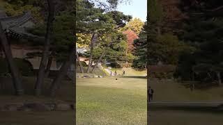 청와대 녹지원