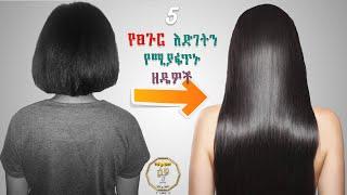 5 ፀጉርን በፍጥነት ማሳደጊያ መንገዶች {How to grow hair fast in amharic}  [leyu 10] Ethiopia