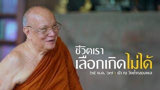 ชีวิตเราเลือกเกิดไม่ได้ : 25 ต.ค. 67 เช้า ณ วัดถ้ำกลองเพล | หลวงพ่ออินทร์ถวาย สันตุสสโก