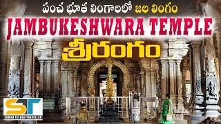 Srirangam Jambukeshwara Temple Full Tour Video In Telugu | Tiruchirappalli | Suman Telugu Traveller