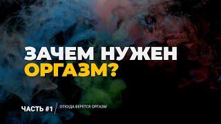 ОТКУДА БЕРЕТСЯ ОРГАЗМ и Зачем Нам Нужен Оргазм