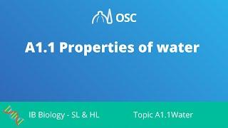 A1.1 Properties of Water [IB Biology SL/HL]