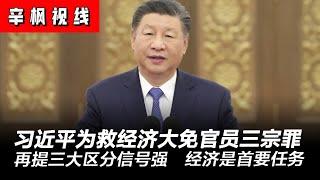 习近平豁出去！为救经济大免官员“三宗罪”；再提“三大区分”信号强烈：经济增长成为习近平首要任务，地方官员需要胡萝卜 | 辛枫视线