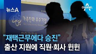 “재택근무에다 승진”…든든한 출산 지원에 직원·회사 윈윈 | 뉴스A