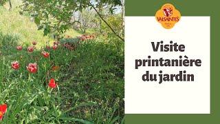 Visite printanière du jardin de l'abbaye de Valsaintes