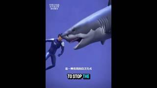 Shark Attack | #ytshorts #information #foryou #shark #videoshort #infotips