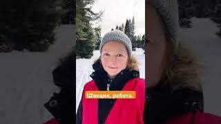Работа в Швеции. Я в лесу.