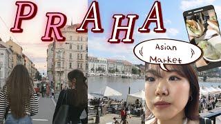 Prague International Student VLOG | VŠE Orientation Week | New Friends | Asian Market