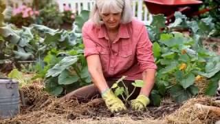 Hips and Knees :15 -- Texas Health Resources