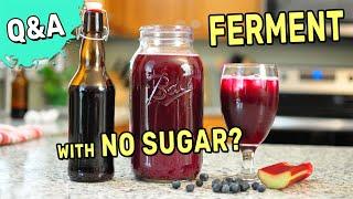 Fermented drinks with no sugar?  FERMENTATION Q&A