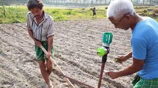 Corn seed planter machine