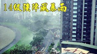 颱風最強眼牆14級強陣風暴雨 山陀兒登陸高雄  窗台築巢的雛鳥是否安在