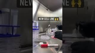 How stem cells are made at Cellular Performance Institute CPI