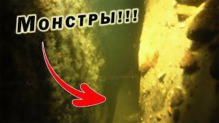 ИХ НУЖНО ОТКАПЫВАТЬ ПОД ВОДОЙ!!! СЕКРЕТЫ ПОДВОДНОЙ ОХОТЫ!!!