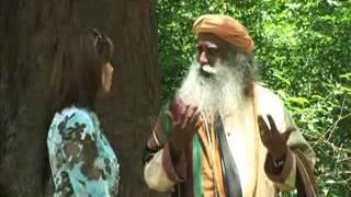 Mystic Wisdom (1) - Sadhguru