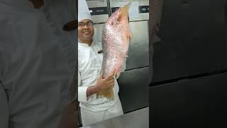 WHAT IS RED SNAPPER #ytshort #food#chef ram chandra payra