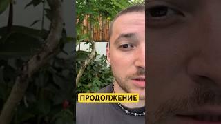 Ломать не строить, построение отношений требует усилий! #отношения #семья  #психология #саморазвитие
