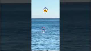 Apparent Suspicious Shark Coming - By bsmr04