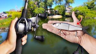 Fishing with a BIG Swimbait pays off with GIANT Fish!