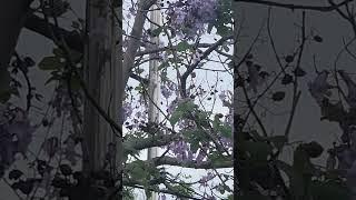 의사들이 추천한 최고의 기름 3가지!#건강#건강정보#올바른정보 #영양식