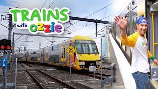 Learn About Trains | Train Safety for Kids | Educational Video for Kids with Ozzie