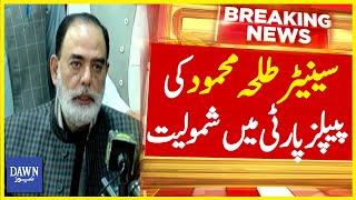 Senator Talha  Mehmood Joins PPP | Breaking News | Dawn News