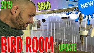 *NEW*BIRD ROOM **WHAT TO USE ON PET BIRDS FLOOR** ! PET BIRD CARE | 2019 !