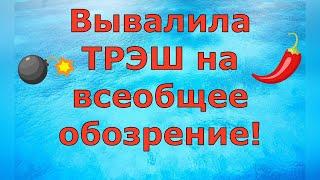 Деревенский дневник очень многодетной мамы \ Вывалила ТРЭШ на всеобщее обозрение! \ Обзор