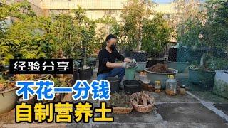 教你用最簡單材料來製作營養土，不花一分錢，土越用越肥沃！