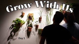 Daily Houseplant Vlog: Episode 1