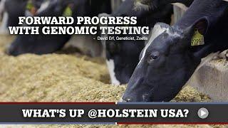 What's Up at Holstein USA: Forward Progress