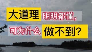 大道理明明都懂，为啥做不到？原因是能量太低了！提升能量在：灵山地理