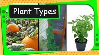 Science - Types of Plants - English