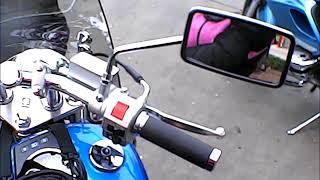 Adventures of the Big Blue Motorbike Dog & Friends
