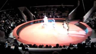 part 2. MADAGASKAR-SHOW by Vyacheslav Farberov. Rosgoscirk 2012