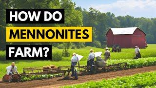 Look INSIDE a Mennonite Farm - Growing Food Without Electricity