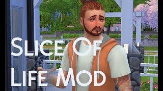 SIMS 4 REVIEW: Slice Of Life Mod!