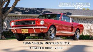 DRIVE VIDEO: 1966 Shelby Mustang GT350 on Bring-A-Trailer!