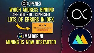 OPENEX BINDING ADDRESS CONFUSION CLEARED | MALDORINI MINING RESTARTED #openex #distribution