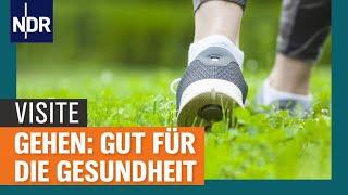 Spazieren gehen: So gesund ist tägliche Bewegung | Visite | NDR