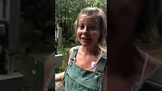 Follow our journey as we build a #cabininthewoods #couplebuildshouse #cabinbuild #buildingacabin
