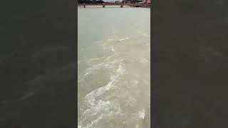 Har ki Pauri Haridwar Maa Ganga Darshan#shriladalikripa #youtubeshorts #shorts #video #radha #govind