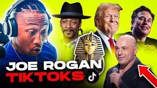 Katt Williams Calls It Out! & Joe Rogan Wild Conspiracies! TIKTOKS! 1 hr  [REACTION!!!]