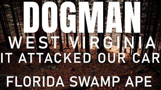 DOGMAN ENCOUNTER IN WEST VIRGINIA | FLORIDA SKUNKAPE ACTIVITY (IT TRIED TO ATTACK US) #bigfoot