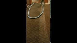Ultra Steam Carpet Cleaning - Cleaning Wand with 6 Jets to Get the Best Possible Carpet Cleaning!