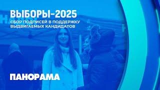 В Беларуси продолжается сбор подписей для выдвижения кандидатов в Президенты. Панорама